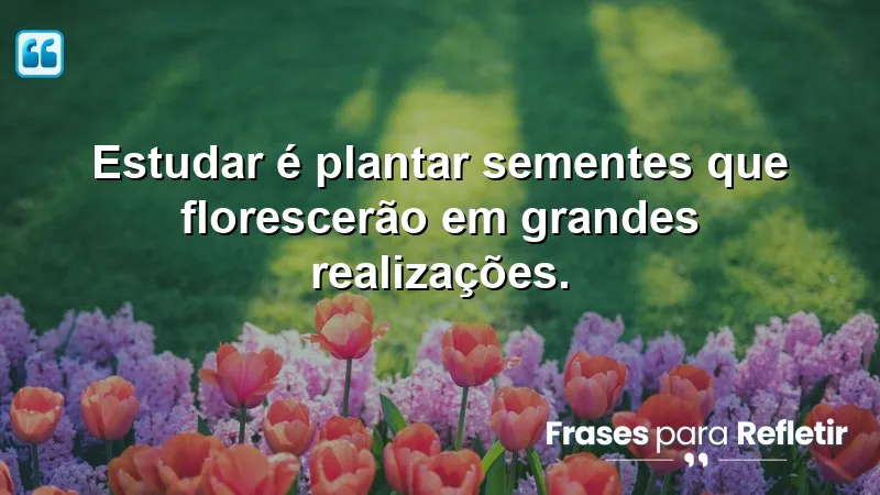 Frases de Incentivo para Estudo que motivam e inspiram o aprendizado.