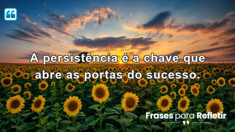 A persistência é a chave que abre as portas do sucesso.