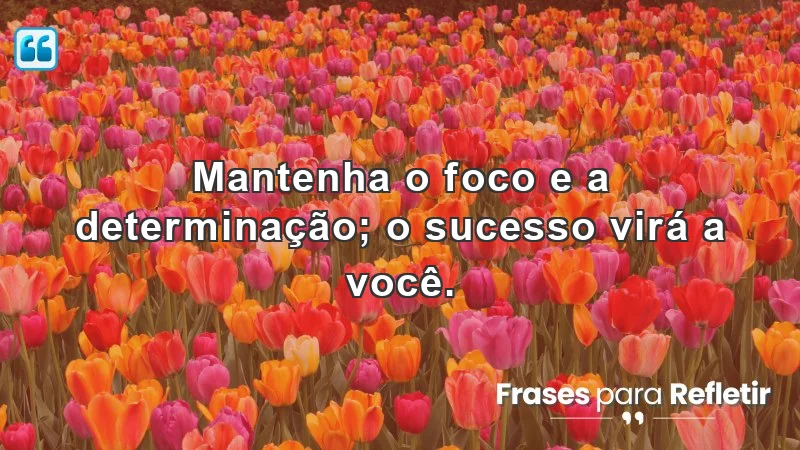 Mantenha o foco e a determinação com frases de incentivo para o trabalho.