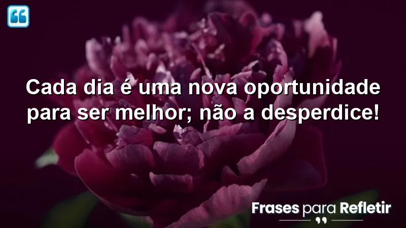 Cada dia é uma nova oportunidade para ser melhor; não a desperdice!