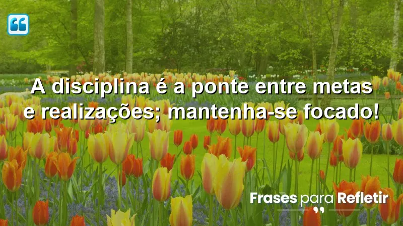 A disciplina é a ponte entre metas e realizações; mantenha-se focado!