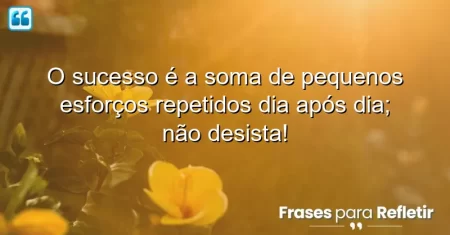 O sucesso é a soma de pequenos esforços repetidos dia após dia; não desista!