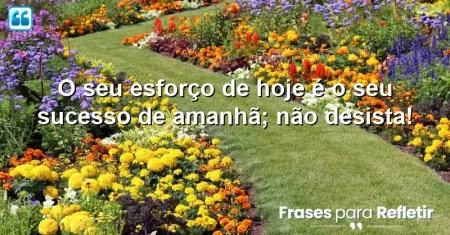 O seu esforço de hoje é o seu sucesso de amanhã; não desista!