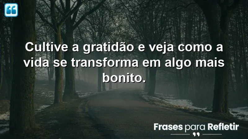 Cultive a gratidão e veja como a vida se transforma em algo mais bonito.