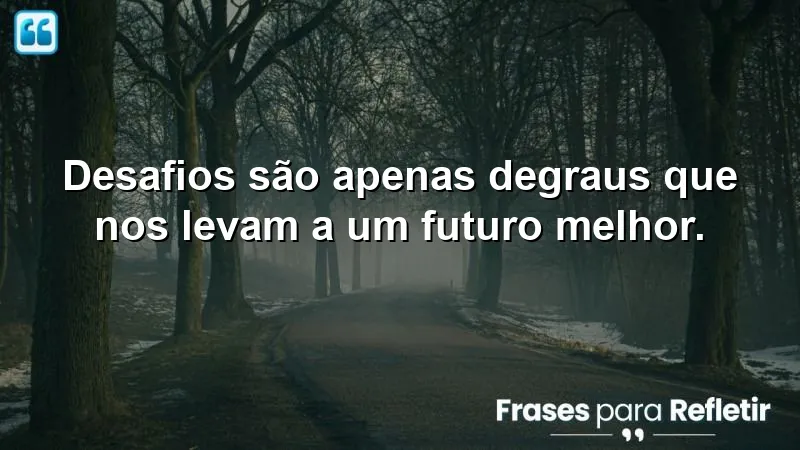 Desafios são apenas degraus que nos levam a um futuro melhor.