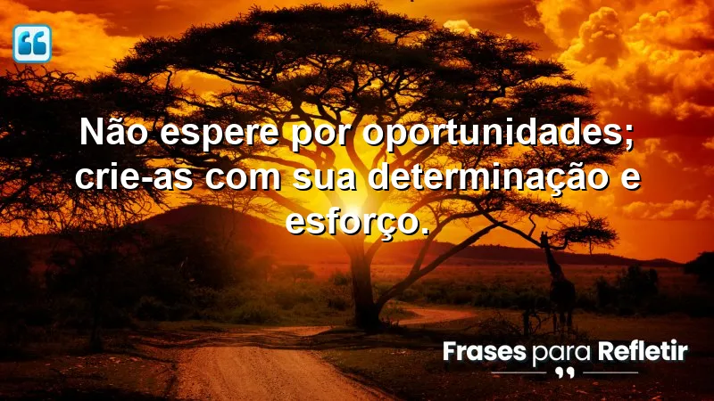 Frases de Motivação Pessoal e Reflexão sobre criar oportunidades com determinação e esforço.