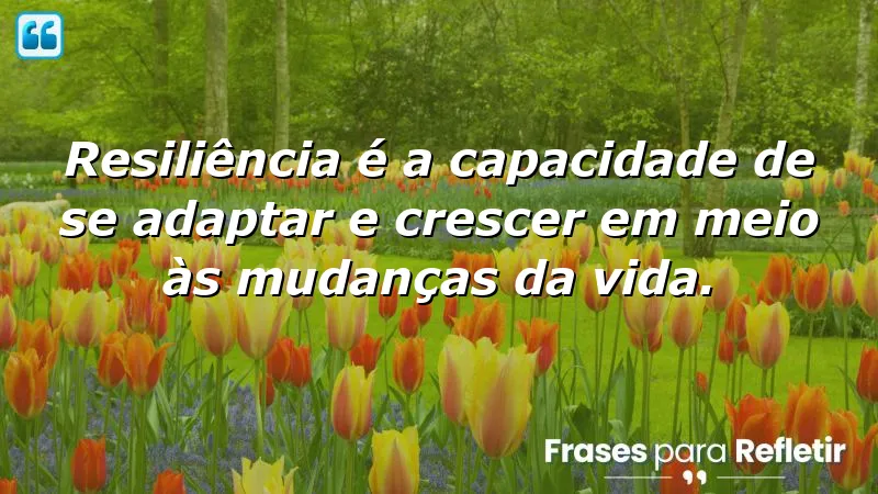 Frases de resiliência em tempos de mudança: adaptando-se e crescendo em tempos difíceis.