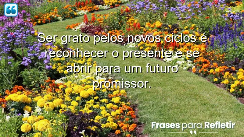 Frases de gratidão por novos ciclos: reconhecendo o presente e abrindo-se para o futuro.