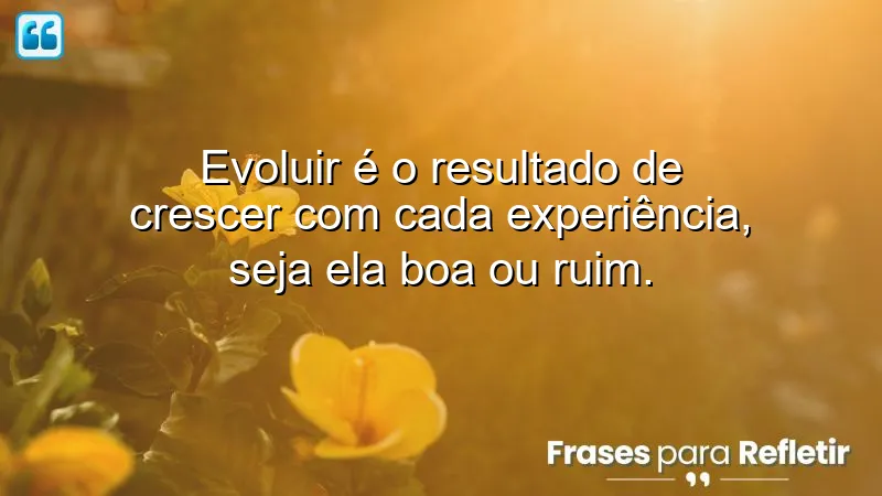 Frases sobre crescer e evoluir que inspiram reflexão e aprendizado.