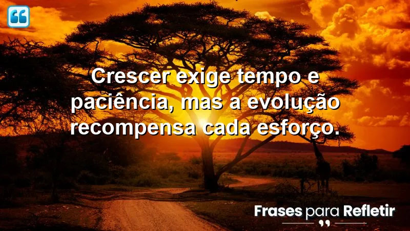 Frases sobre crescer e evoluir: a importância do tempo e paciência no desenvolvimento pessoal.