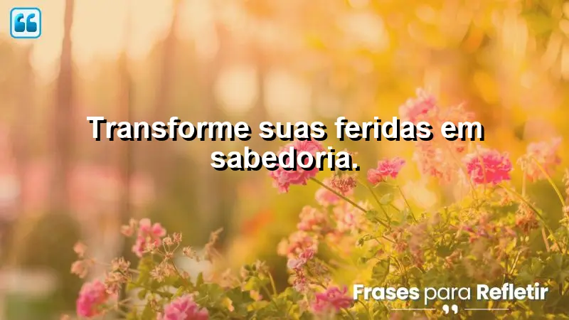 Transforme suas feridas em sabedoria.