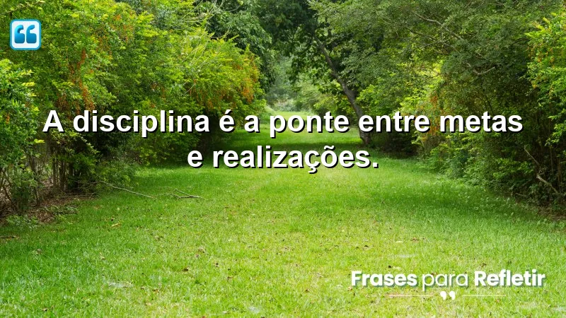 Frases Motivacionais de Sucesso sobre a importância da disciplina na realização de metas.