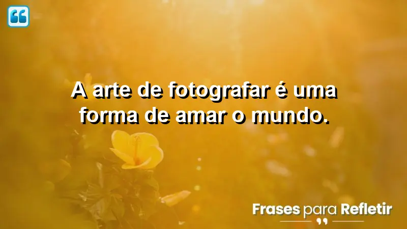 A arte de fotografar é uma forma de amar o mundo.