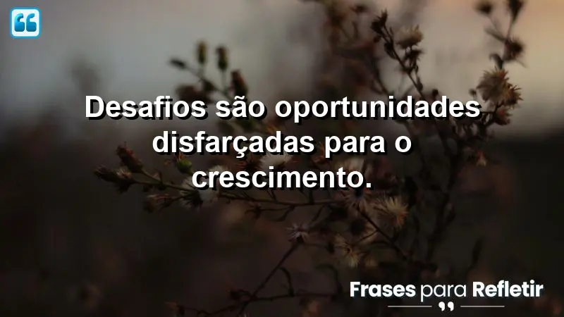 Desafios são oportunidades disfarçadas para o crescimento.