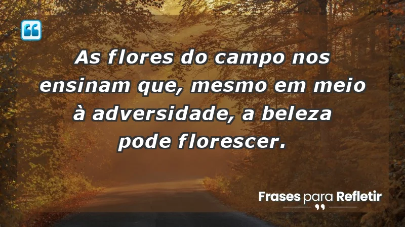 - As flores do campo nos ensinam que, mesmo em meio à adversidade, a beleza pode florescer.