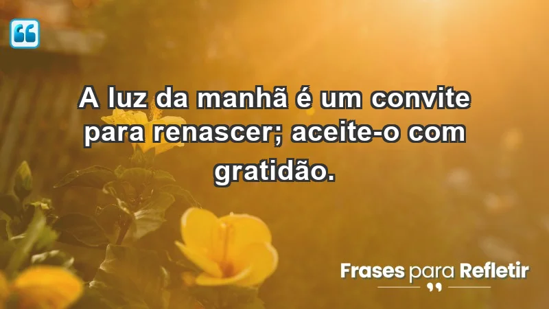 - A luz da manhã é um convite para renascer; aceite-o com gratidão.