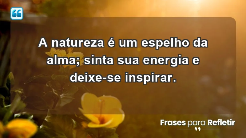 - A natureza é um espelho da alma; sinta sua energia e deixe-se inspirar.