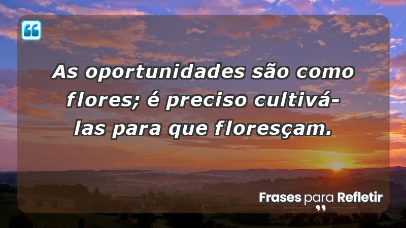 - As oportunidades são como flores; é preciso cultivá-las para que floresçam.