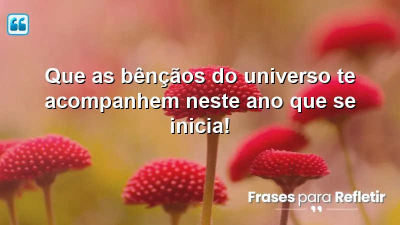 Que as bênçãos do universo te acompanhem neste ano que se inicia!