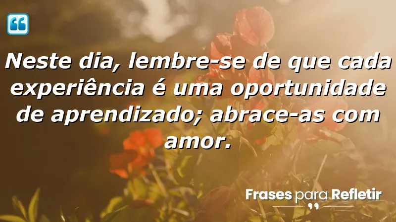 Mensagens de aniversário reflexivas que celebram o aprendizado e o amor nas experiências da vida.