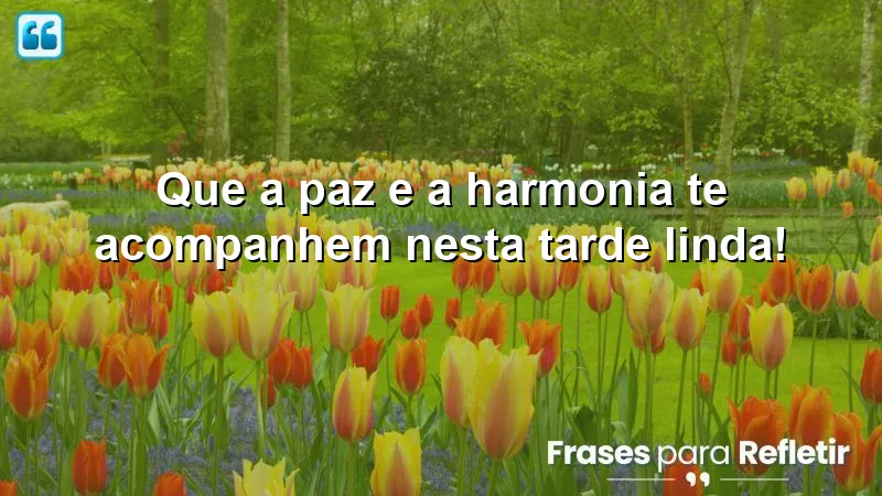 Que a paz e a harmonia te acompanhem nesta tarde linda!