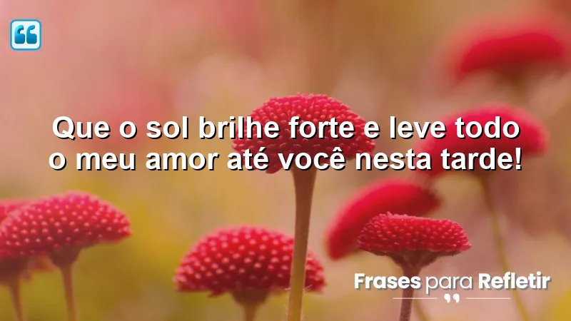 Mensagens de boa tarde com amor para iluminar o dia de quem você ama.