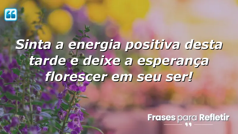 Mensagens de boa tarde com carinho e esperança para inspirar positividade e renovação.