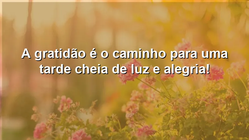 Mensagens de boa tarde com carinho e otimismo: a gratidão ilumina nossas vidas.