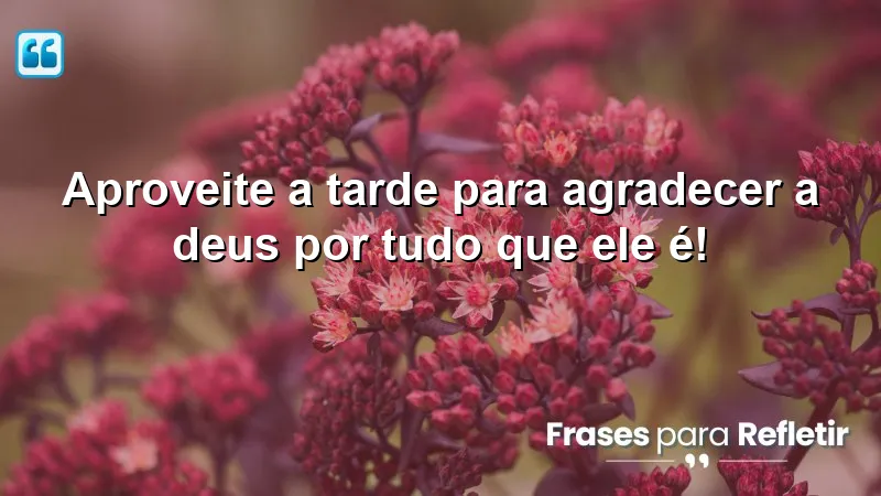 Mensagens de boa tarde com Deus: a importância da gratidão.