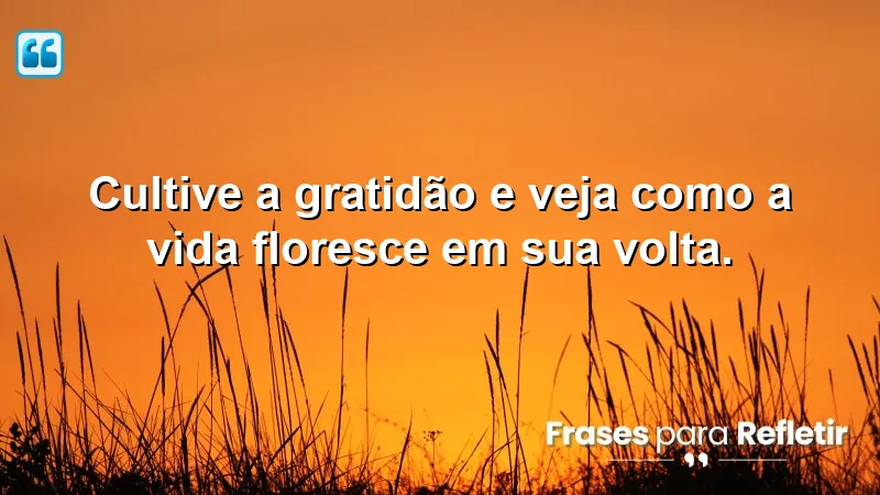 Mensagens de boa tarde com otimismo e fé: A gratidão transforma sua vida.