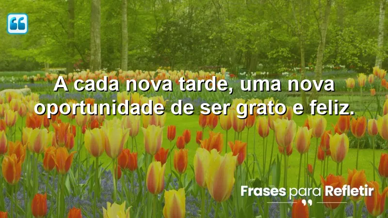 Mensagens de boa tarde com paz e gratidão, refletindo gratidão e felicidade.