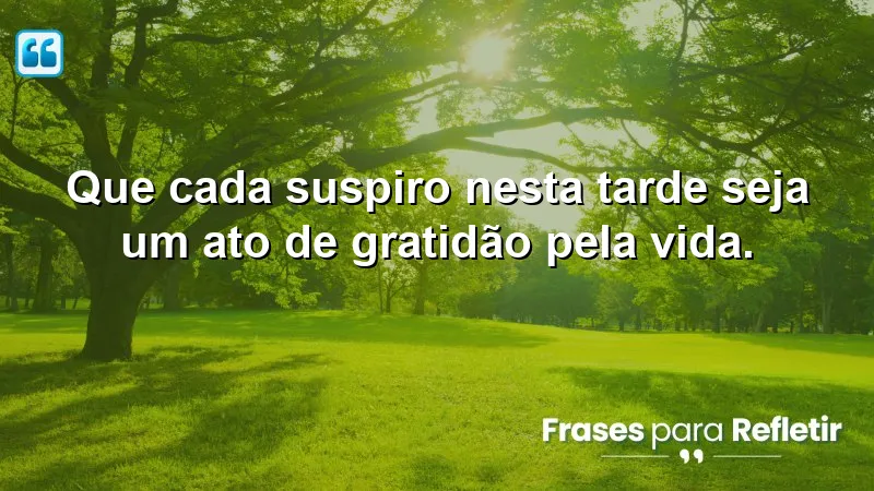 Mensagens de boa tarde com paz e gratidão: inspire-se a viver com gratidão e serenidade.