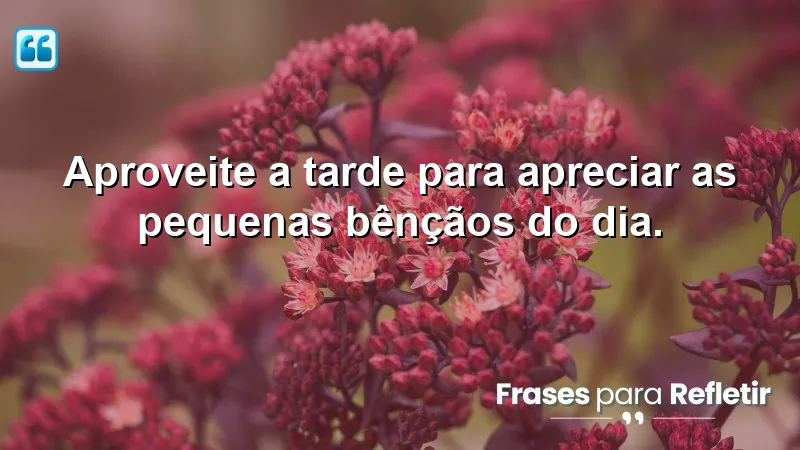 Mensagens de boa tarde com paz e gratidão.