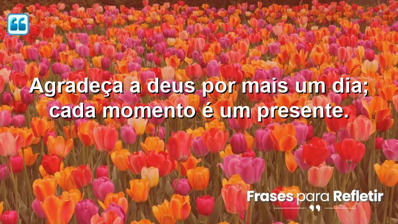 Mensagens de boa tarde com reflexão cristã: Agradeça a Deus por cada dia e valorize os momentos especiais.