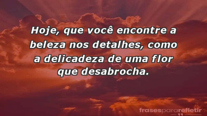 - Hoje, que você encontre a beleza nos detalhes, como a delicadeza de uma flor que desabrocha.