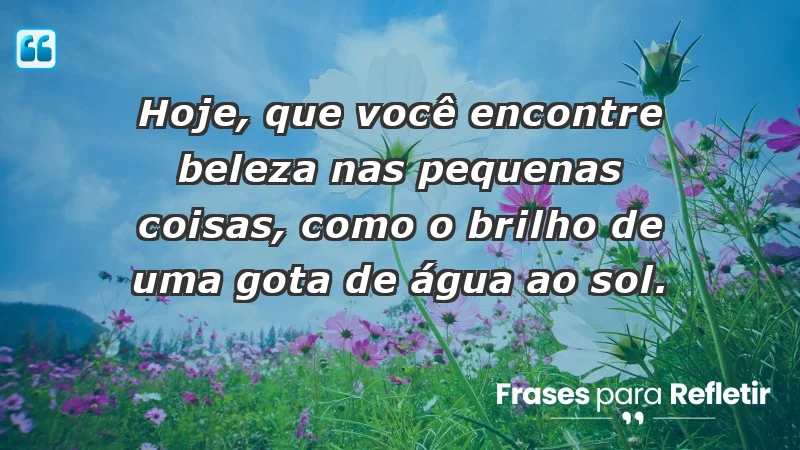 Hoje, que você encontre beleza nas pequenas coisas, como o brilho de uma gota de água ao sol.