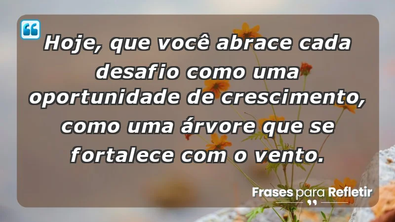 - Hoje, que você abrace cada desafio como uma oportunidade de crescimento, como uma árvore que se fortalece com o vento.