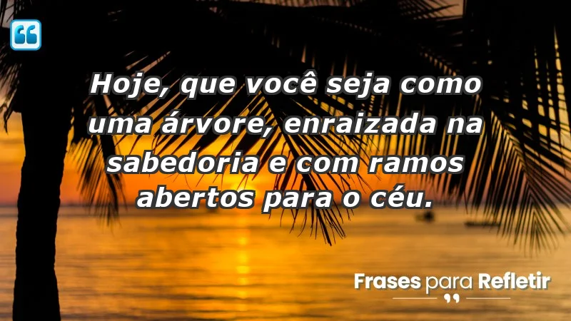 - Hoje, que você seja como uma árvore, enraizada na sabedoria e com ramos abertos para o céu.