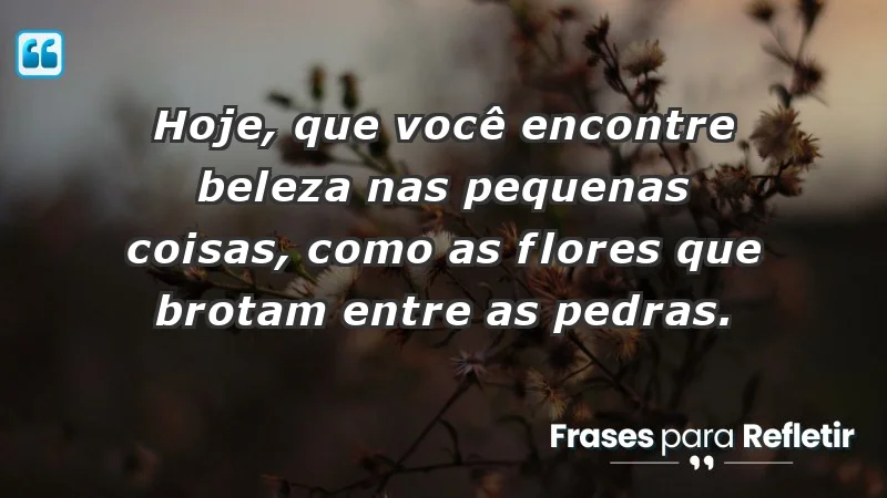 - Hoje, que você encontre beleza nas pequenas coisas, como as flores que brotam entre as pedras.