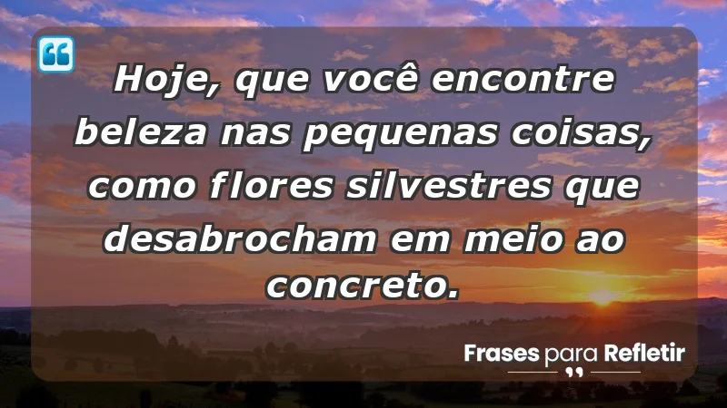 - Hoje, que você encontre beleza nas pequenas coisas, como flores silvestres que desabrocham em meio ao concreto.