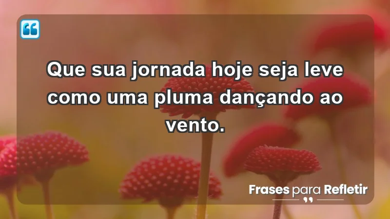 - Que sua jornada hoje seja leve como uma pluma dançando ao vento.