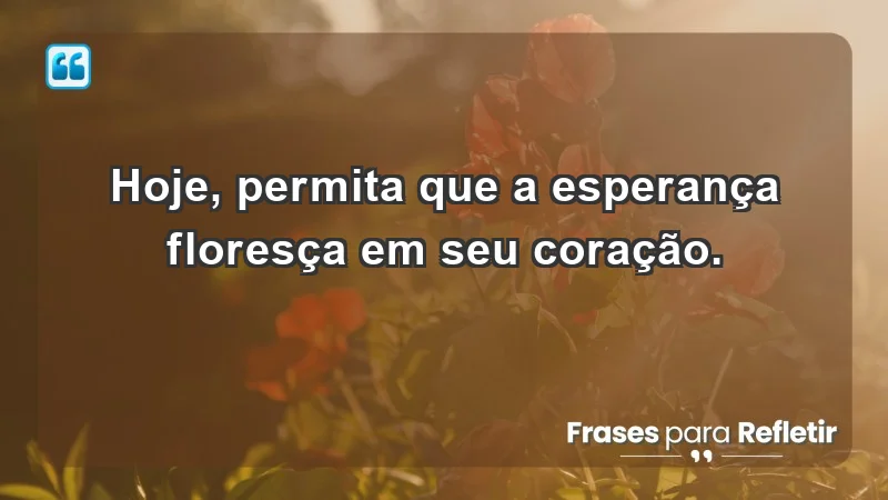 - Hoje, permita que a esperança floresça em seu coração.