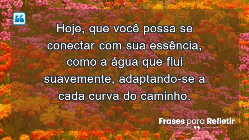 - Hoje, que você possa se conectar com sua essência, como a água que flui suavemente, adaptando-se a cada curva do caminho.