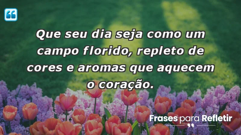 - Que seu dia seja como um campo florido, repleto de cores e aromas que aquecem o coração.