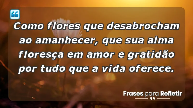 - Como flores que desabrocham ao amanhecer, que sua alma floresça em amor e gratidão por tudo que a vida oferece.