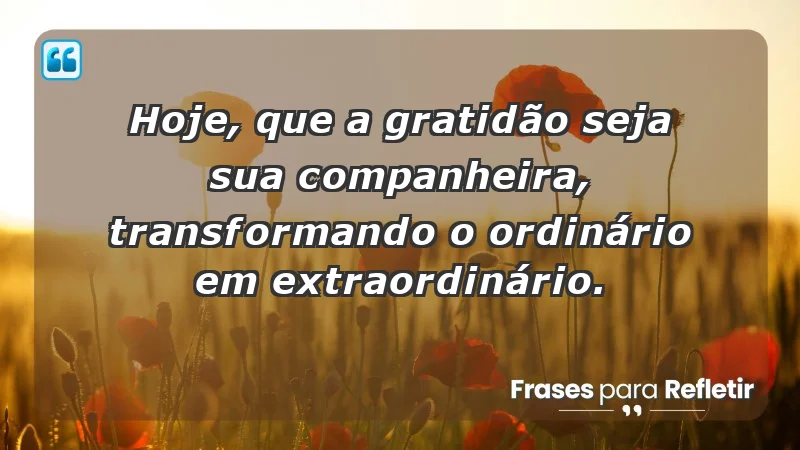 - Hoje, que a gratidão seja sua companheira, transformando o ordinário em extraordinário.