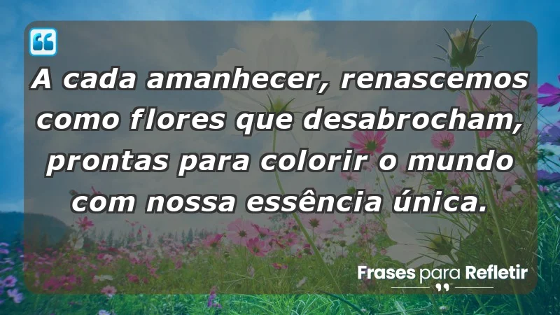 - A cada amanhecer, renascemos como flores que desabrocham, prontas para colorir o mundo com nossa essência única.