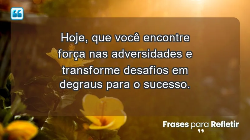 - Hoje, que você encontre força nas adversidades e transforme desafios em degraus para o sucesso.