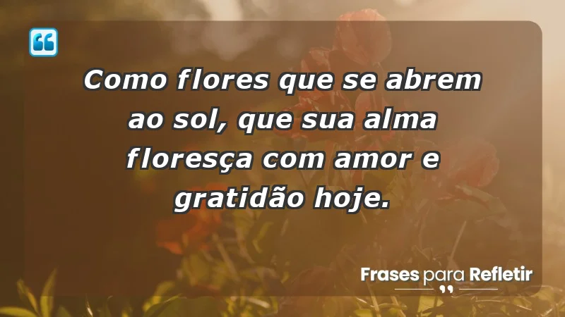 - Como flores que se abrem ao sol, que sua alma floresça com amor e gratidão hoje.