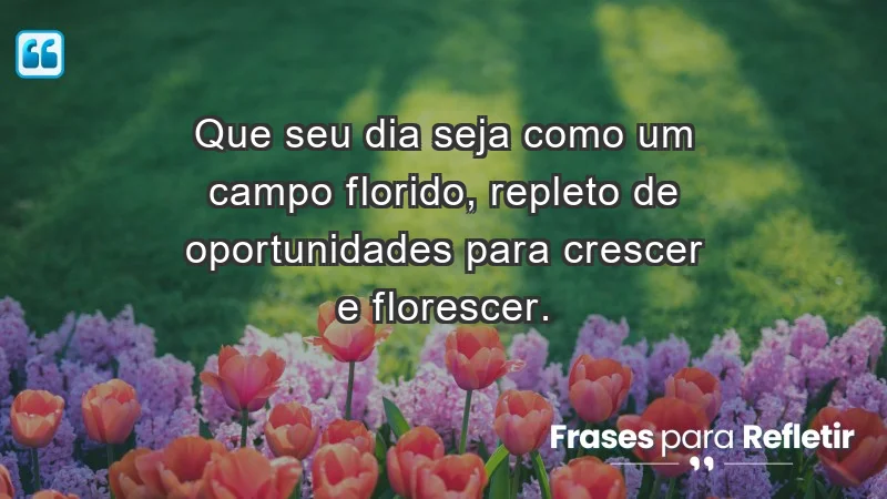 - Que seu dia seja como um campo florido, repleto de oportunidades para crescer e florescer.